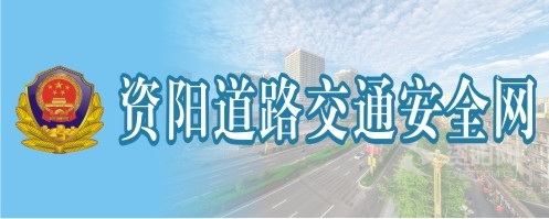 操俄罗斯老B资阳道路交通安全网